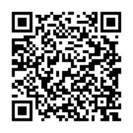 QR code for BIL0433