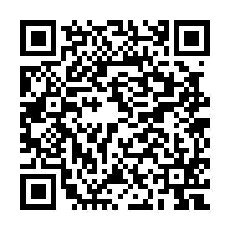 QR code for BIS0958