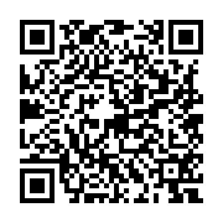 QR code for BLB9541