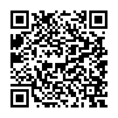 QR code for BLN0438