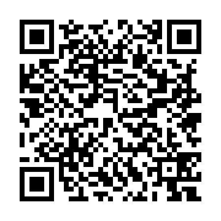 QR code for BLU9398