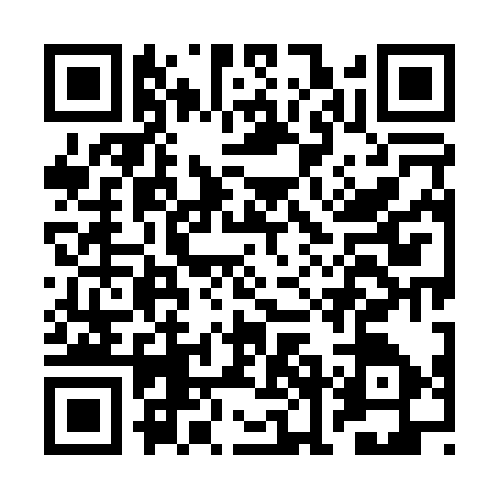 QR code for BNM0379