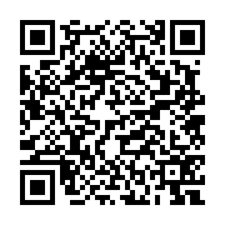 QR code for BOR4761