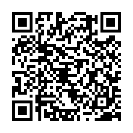 QR code for BQN4979
