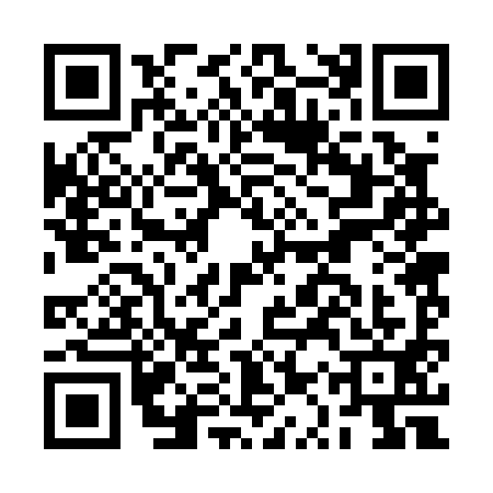 QR code for BQR0919