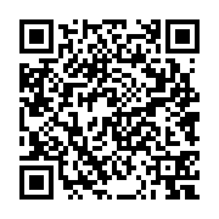 QR code for BRT3307