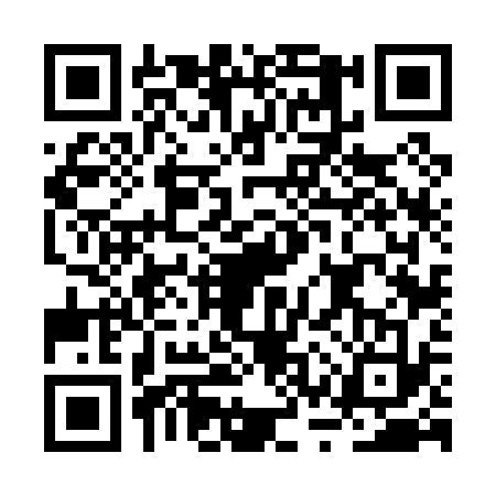 QR code for BSV0333