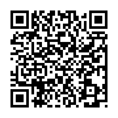 QR code for BSV4334