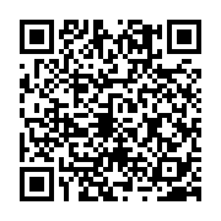 QR code for BVI8381