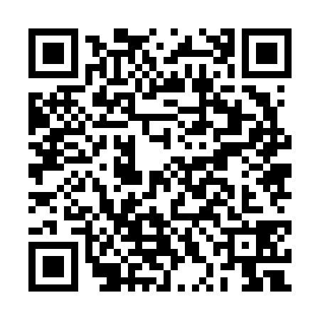 QR code for BXJ6382