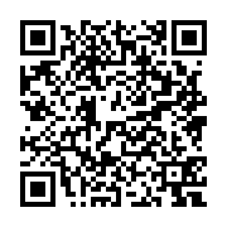QR code for CCX1313