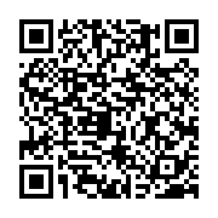 QR code for CDT0381