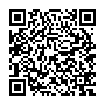 QR code for CEO2196