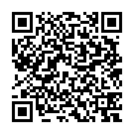 QR code for CES4383