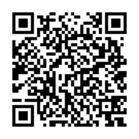 QR code for CGG6387