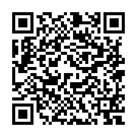 QR code for CHQ9919