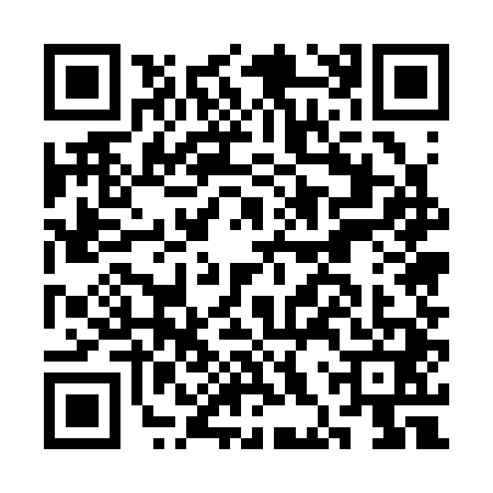 QR code for CHU3412