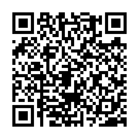 QR code for CPV6119