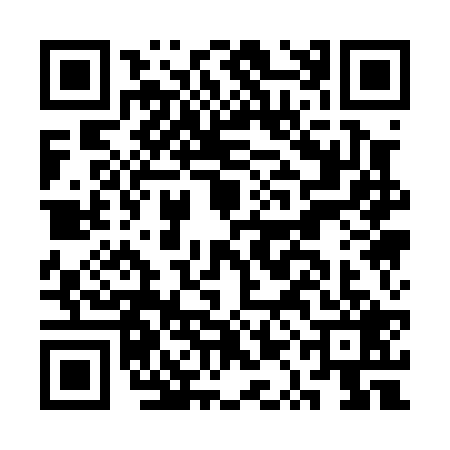 QR code for CQA0295
