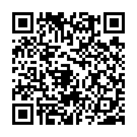 QR code for CWE6994