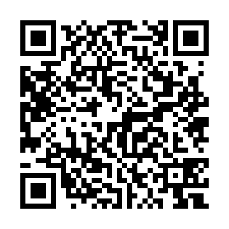 QR code for CYZ3381