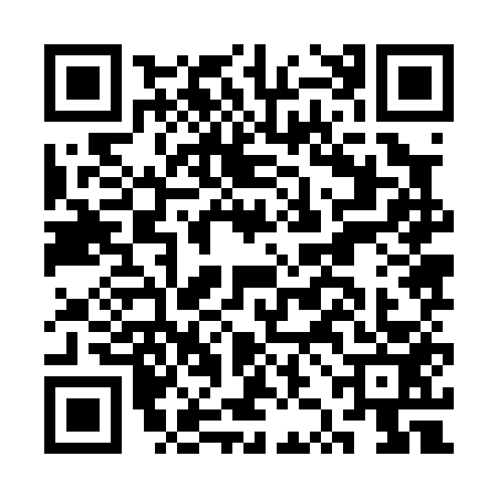QR code for CZJ0533