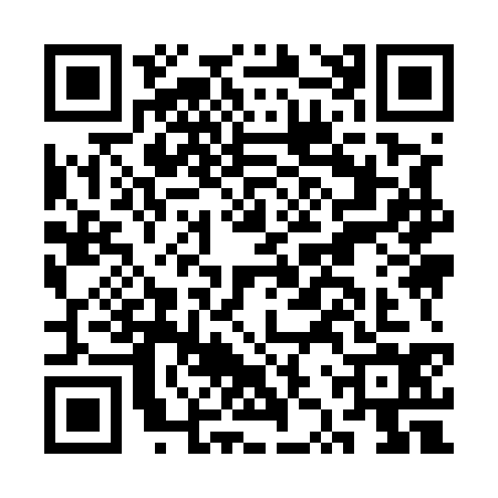 QR code for CZY5341