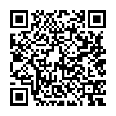 QR code for DAG8341