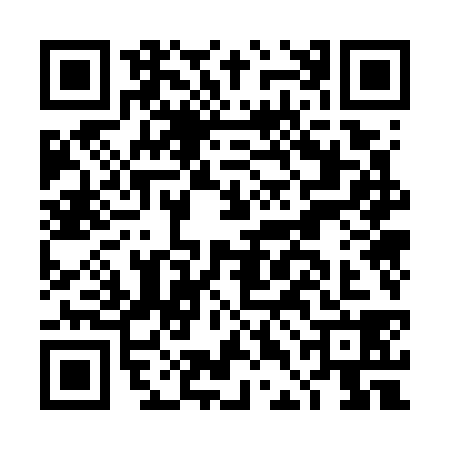 QR code for DDO7383