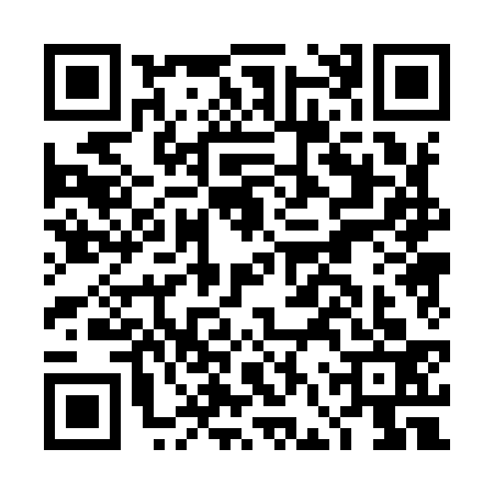 QR code for DFP9333