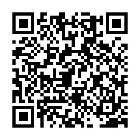 QR code for DFZ9374