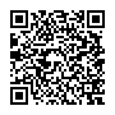 QR code for DGP4593