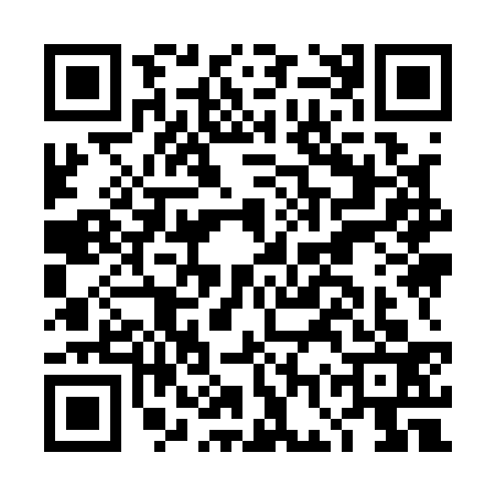 QR code for DGY1339
