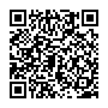 QR code for DHQ3993