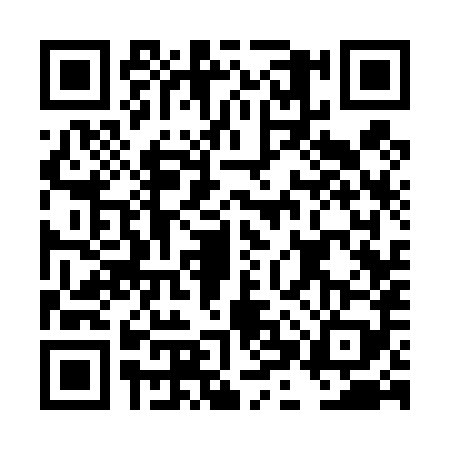 QR code for DHS4894