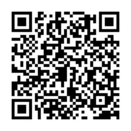 QR code for DHZ2489