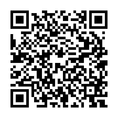 QR code for DIC2866