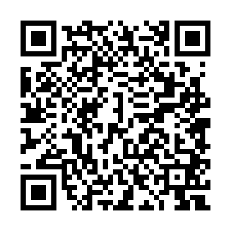 QR code for DID3401