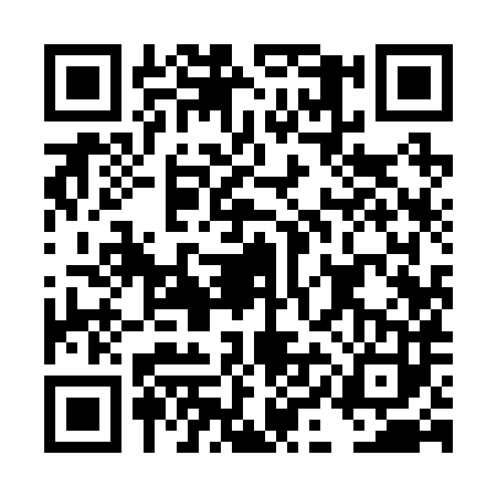QR code for DII2833
