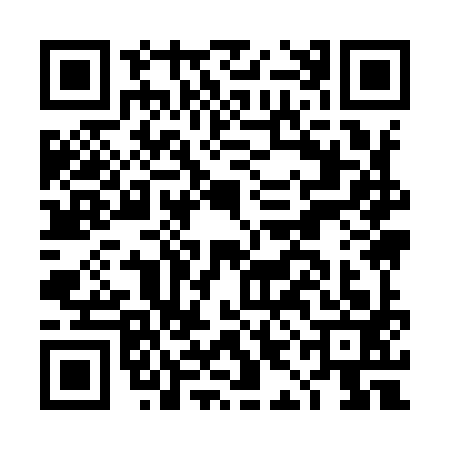 QR code for DII9933