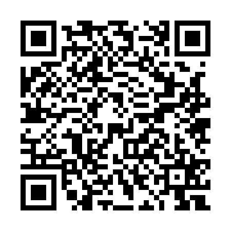 QR code for DIJ1250