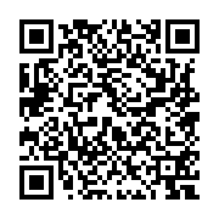 QR code for DIP9505