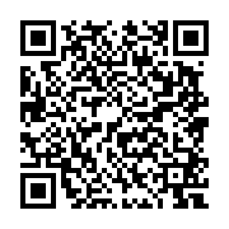 QR code for DIX4407