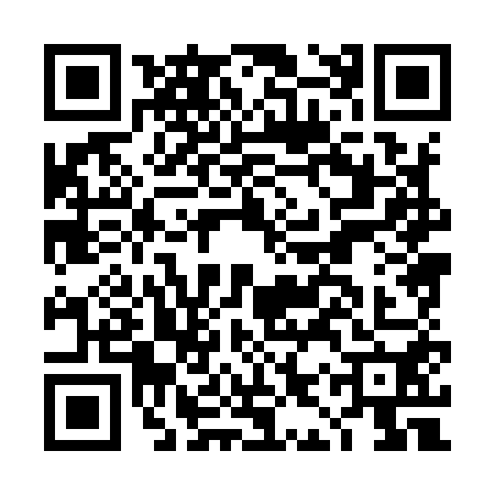 QR code for DIX9509