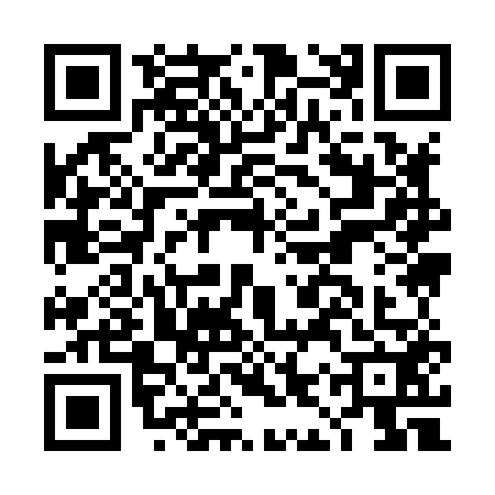 QR code for DIY8529