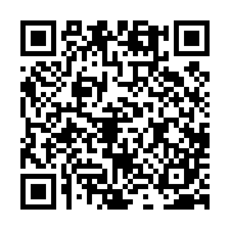 QR code for DLP4876
