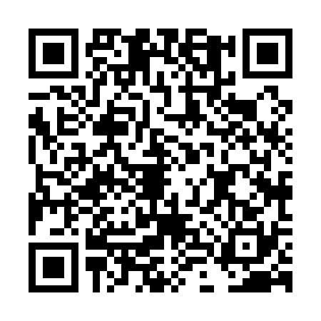 QR code for DLX1307
