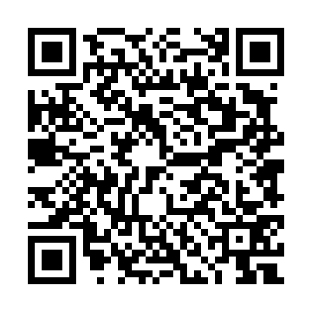 QR code for DND4733