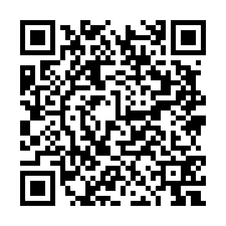 QR code for DNY4729