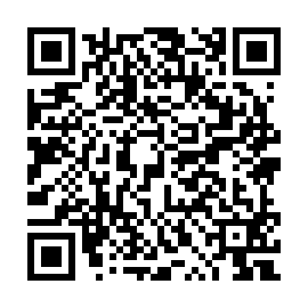 QR code for DPI2924